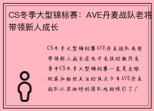 CS冬季大型锦标赛：AVE丹麦战队老将带领新人成长